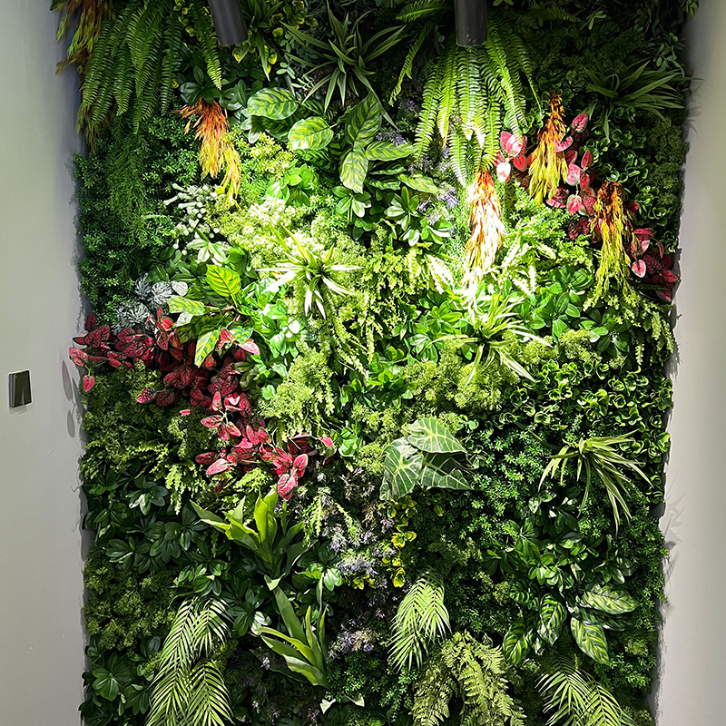 植物墙景观